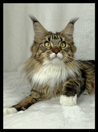 Henriette